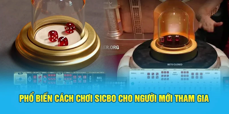 Phổ biến cách chơi Sicbo cho người mới tham gia